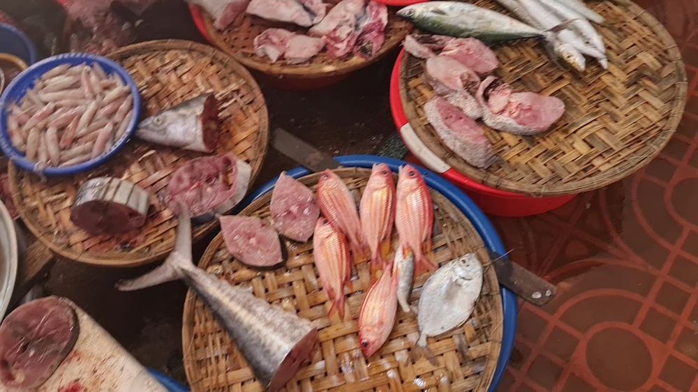 꾸이년 현지 재래시장 (수산시장 포함)