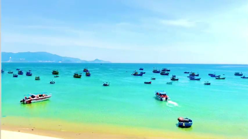코코 잠보