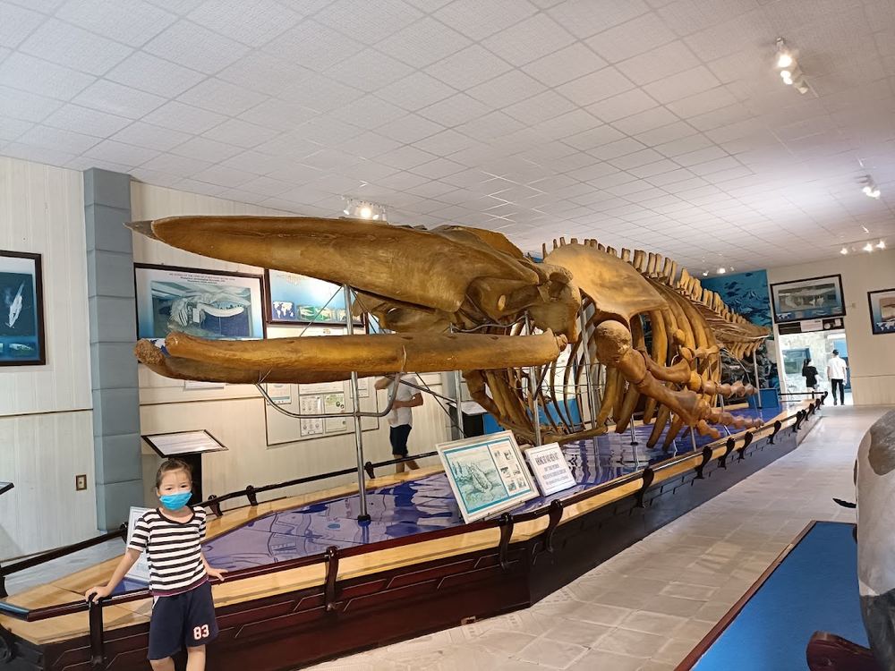 Museum of Oceanography