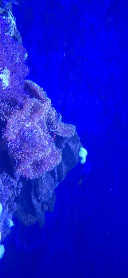 Museum of Oceanography