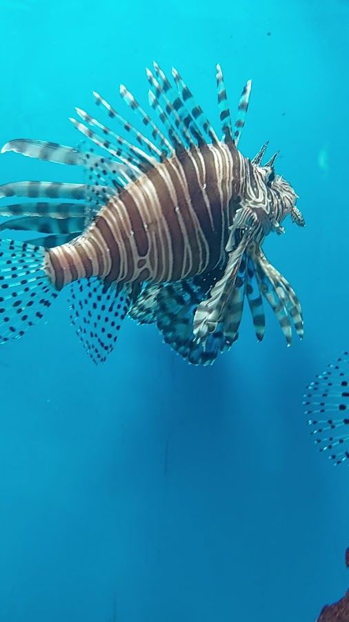 Museum of Oceanography