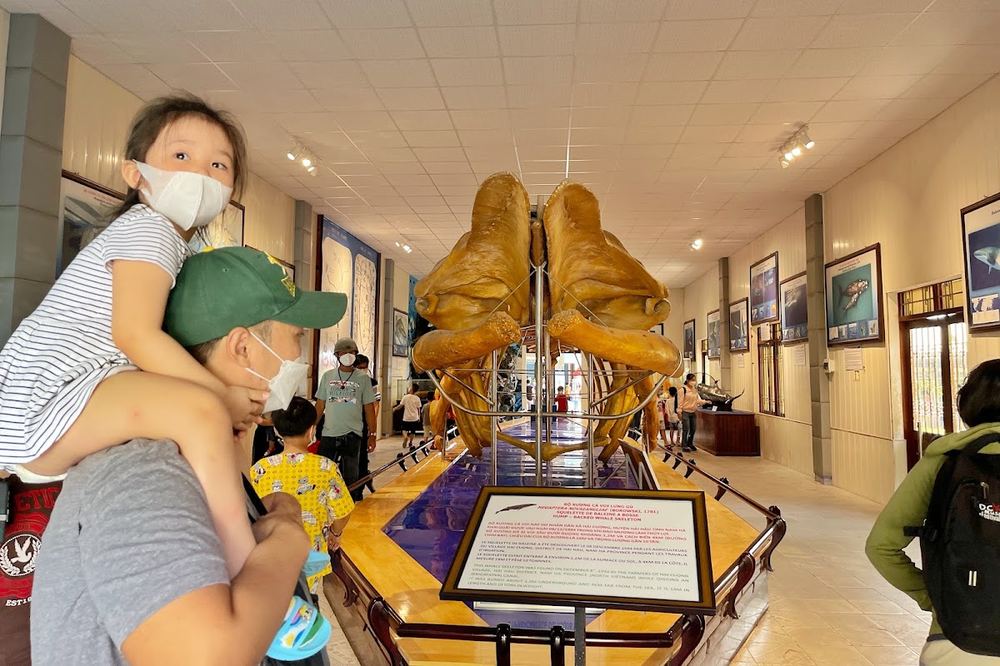 Museum of Oceanography