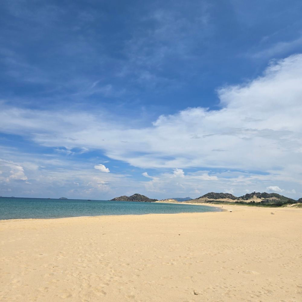 더톤 해변