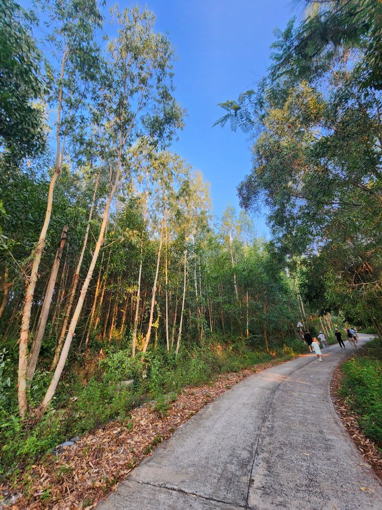 쑤언번산