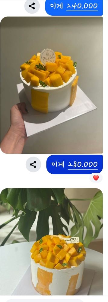 니치 베이커리 (망고케이크)