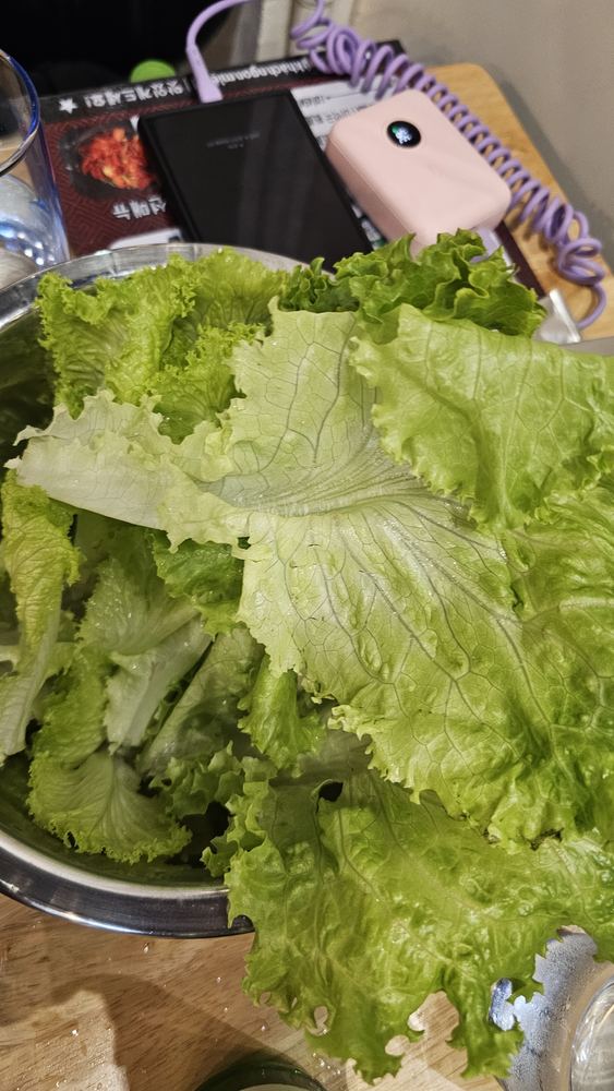순자식당