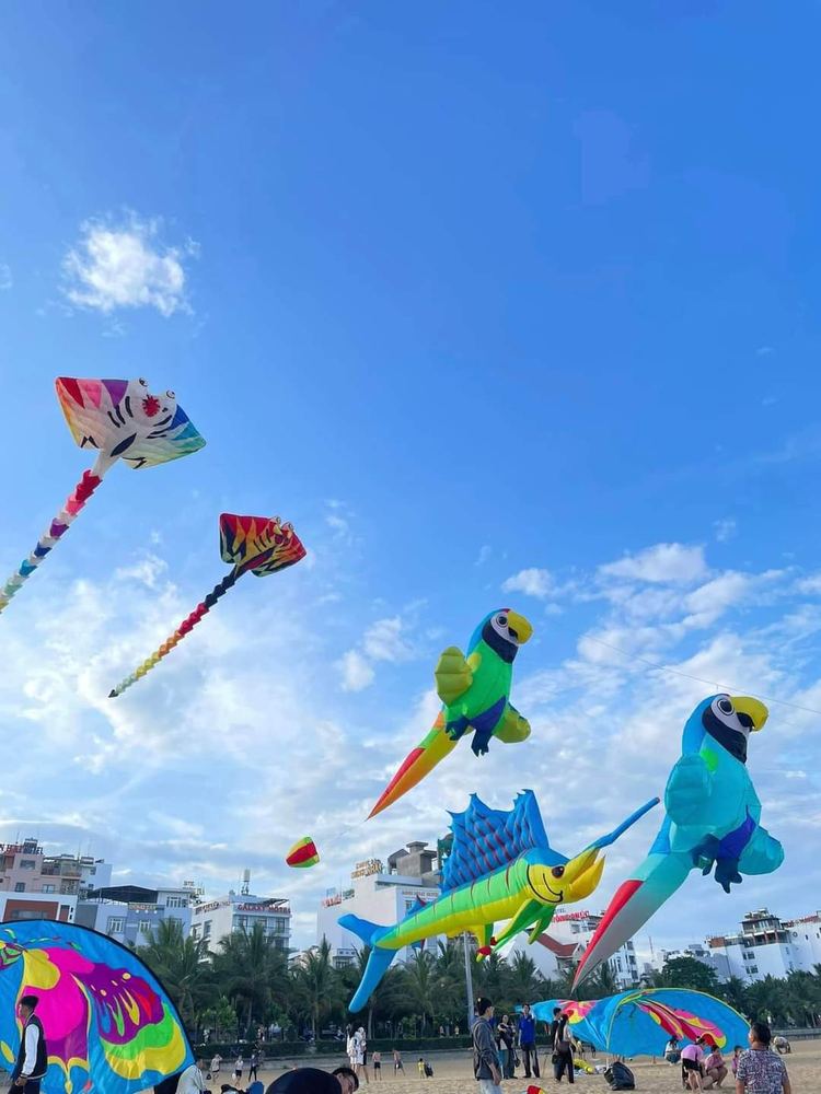꾸이년 해변 연날리기