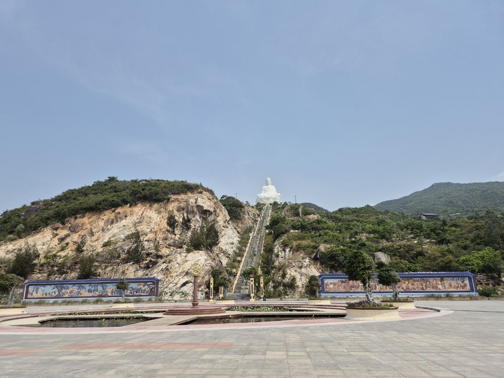 하이암스 기사 찰리
