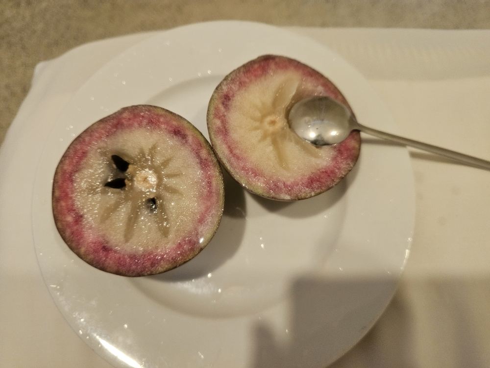 꾸이년 열대과일 팁 (타마린드·두리안·스타애플)