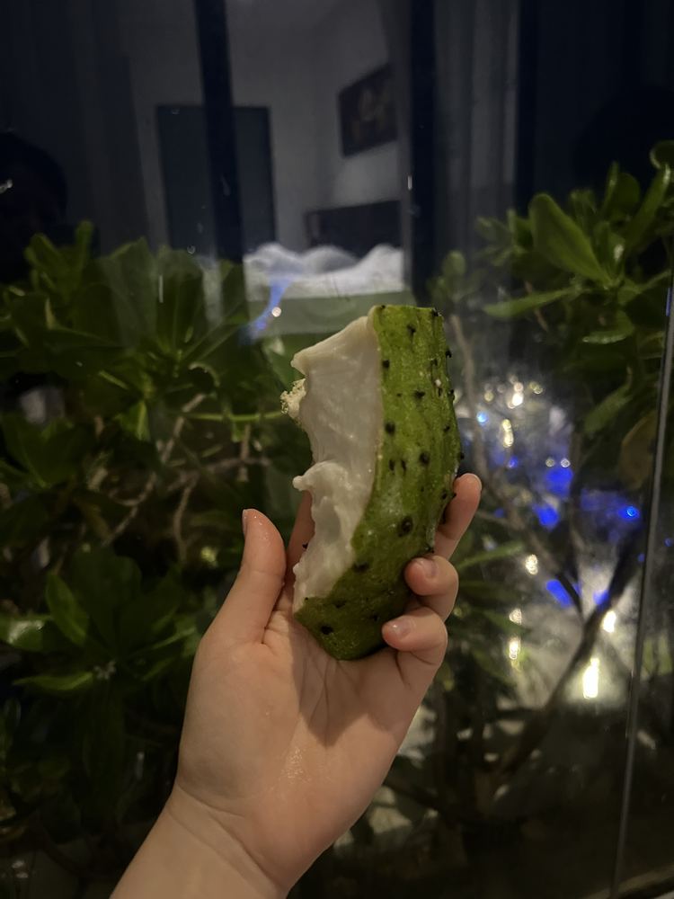 사워솝 (망꺼우씨엠, 로컬 과일)