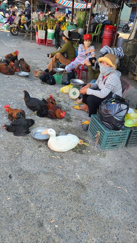 뚜이호아 재래시장