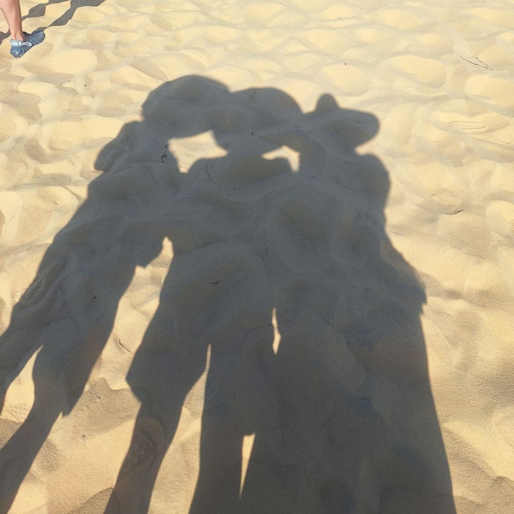 키코비치 데이투어 (Quy Nhon Tourist)