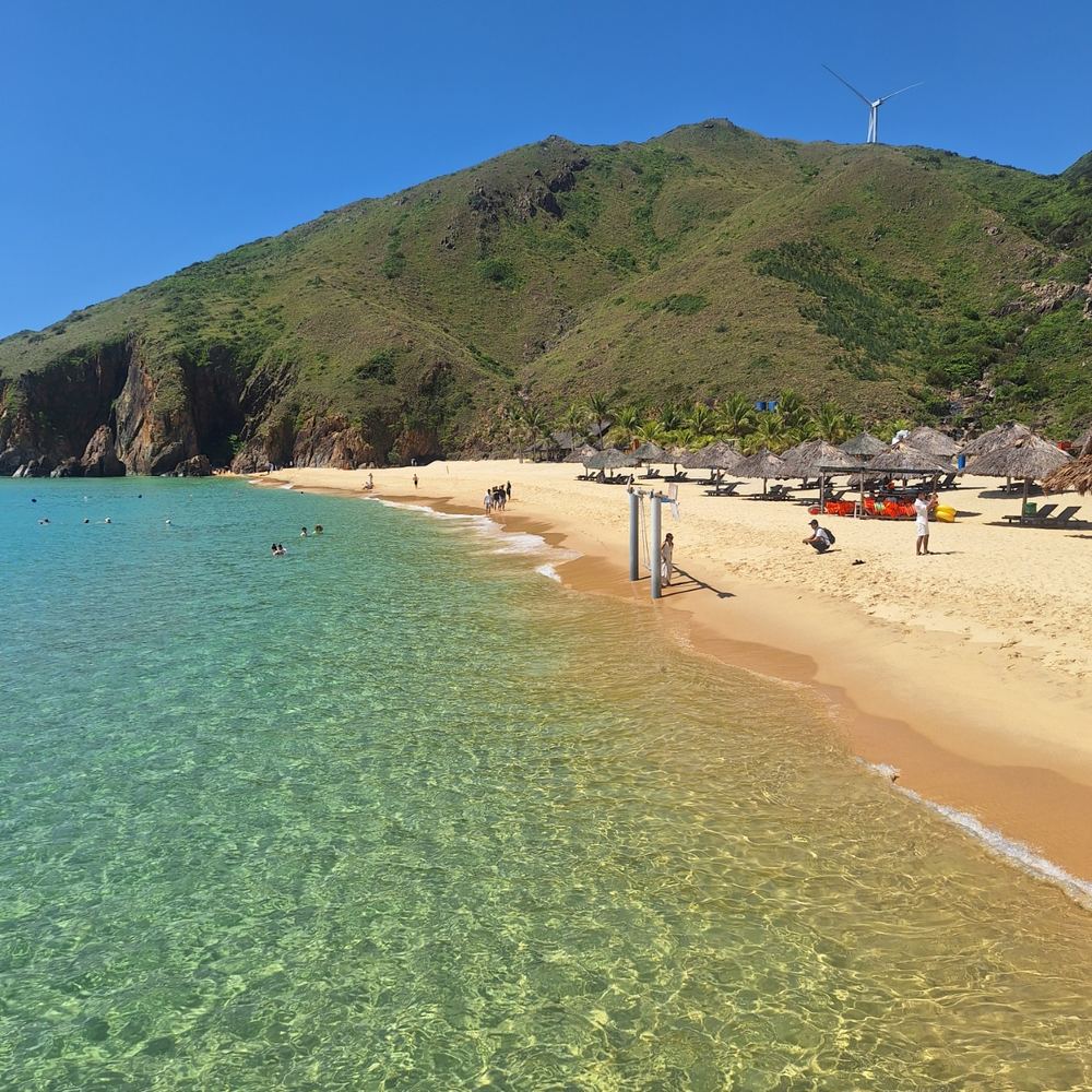 키코비치 데이투어 (Quy Nhon Tourist)