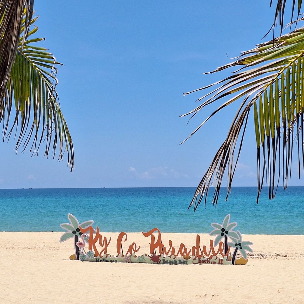 키코비치 데이투어 (Quy Nhon Tourist)